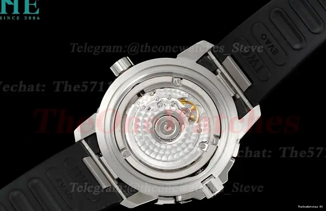 Black SS RU A2892 AquaTimer Stk IW3290 RSF 0505